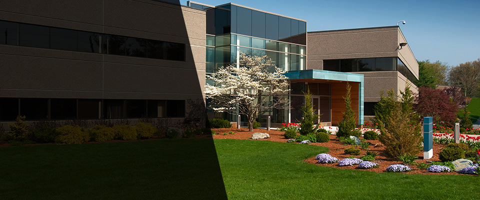 Billings Landscapers