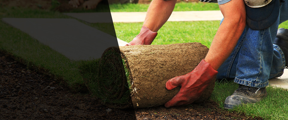 Billings Landscapers